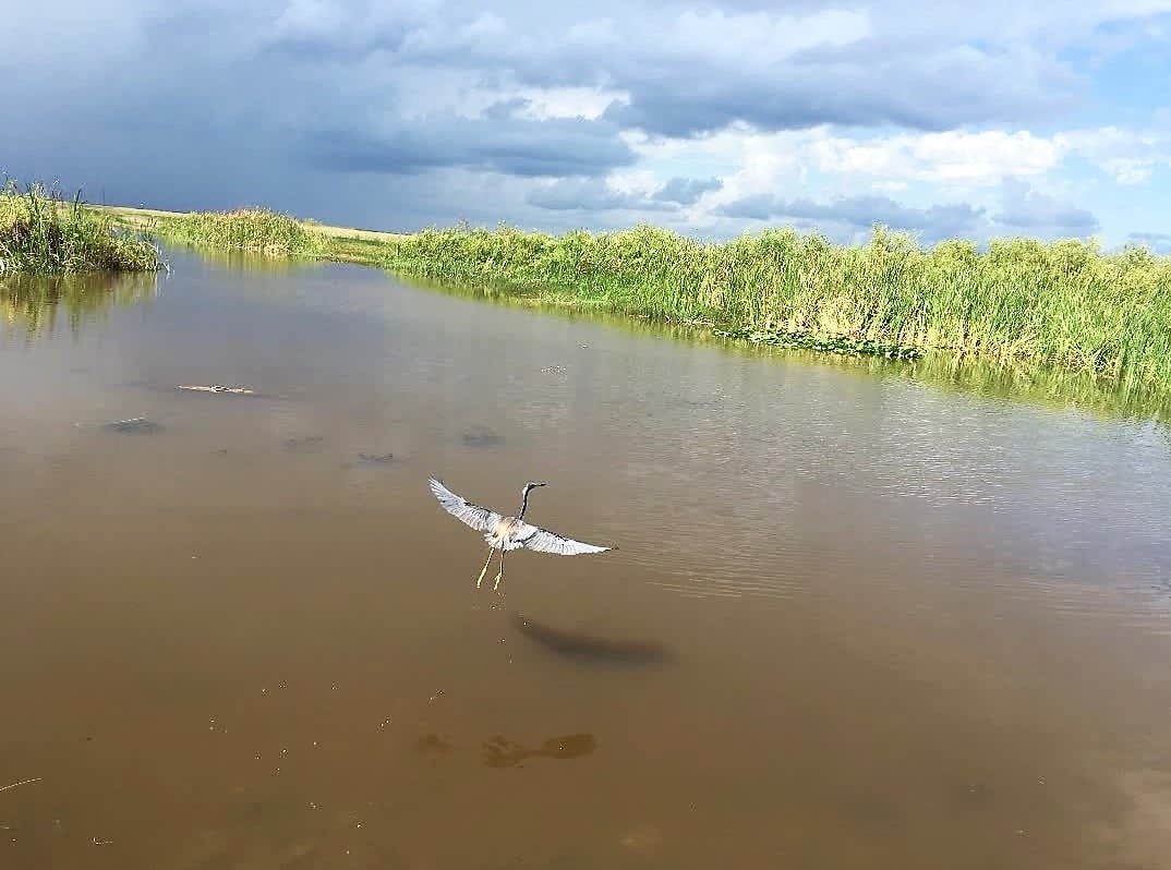 EVERGLADES AND FRANCIS S. TAYLOR WILDLIFE MANAGEMENT AREA