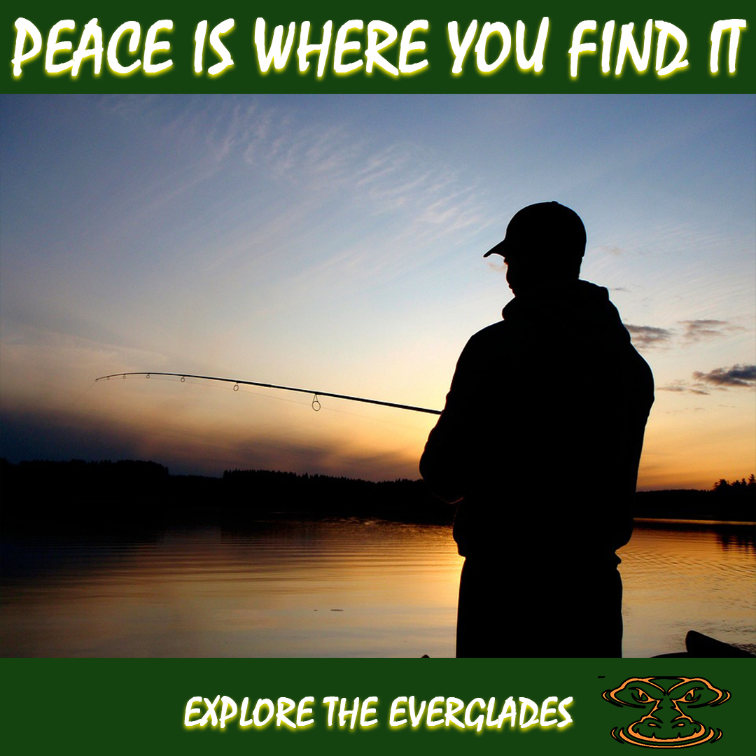 Airboat and the Everglades