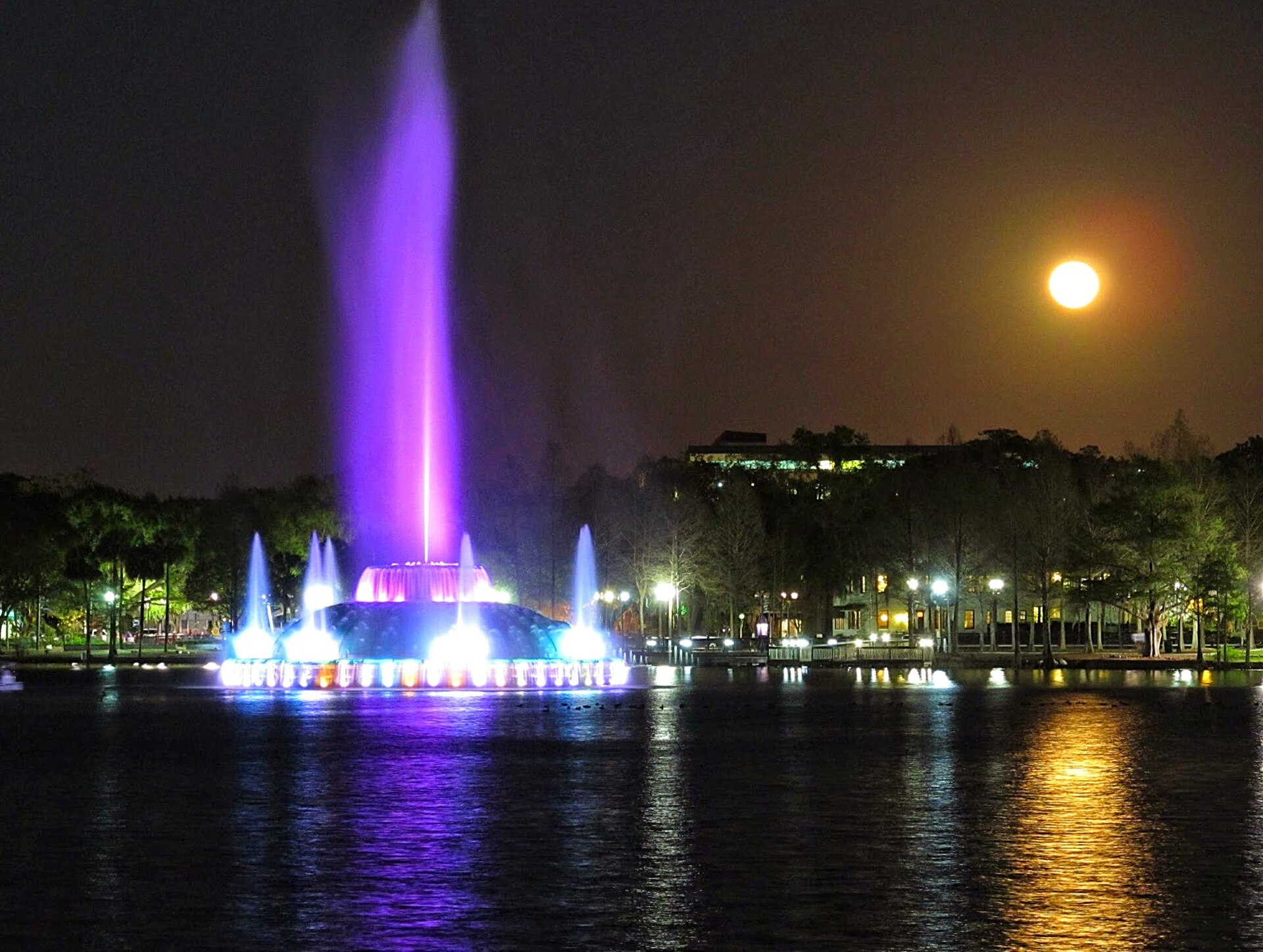 Lake Eola Park fountain lit up at night in downtown Orlando
